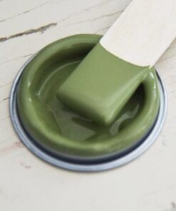 Vintage Paint Olive Green